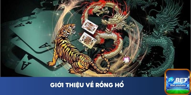 Giới thiệu về Rồng Hổ